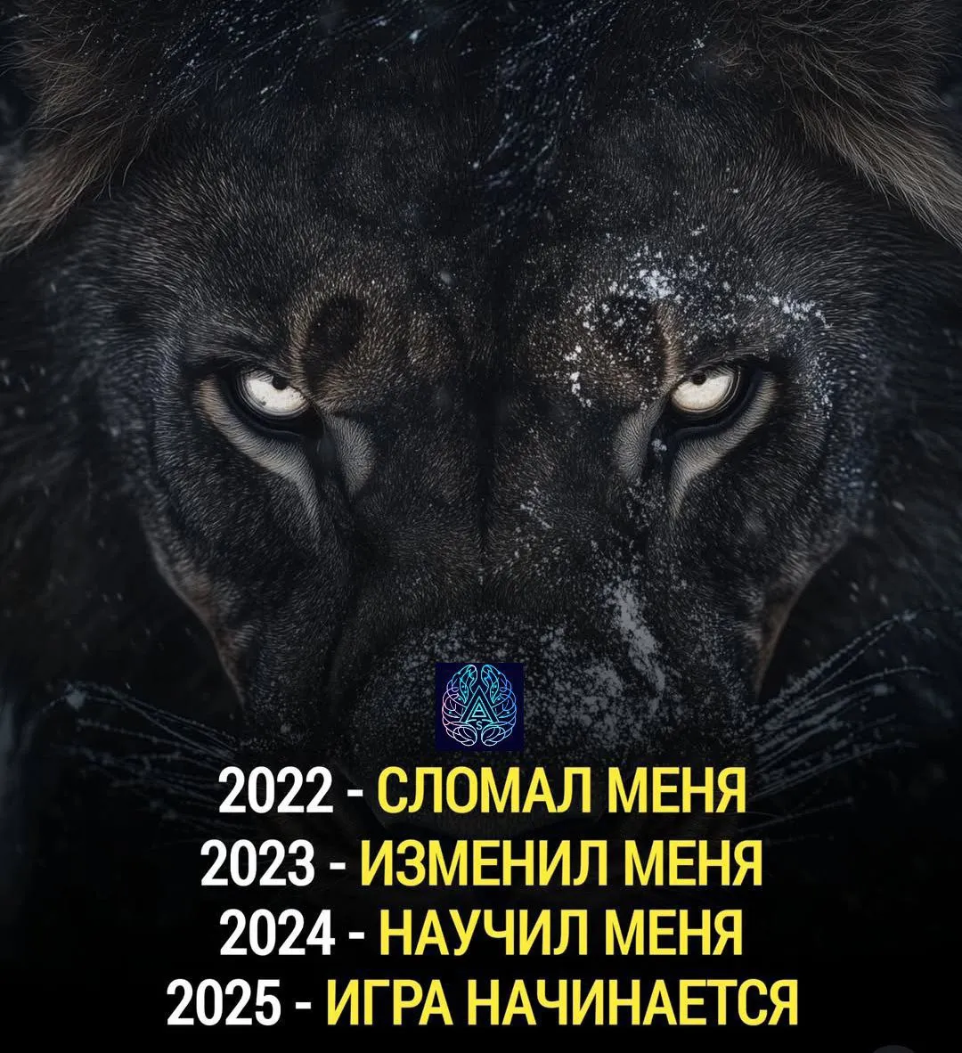 image - изображение на LocalQQ