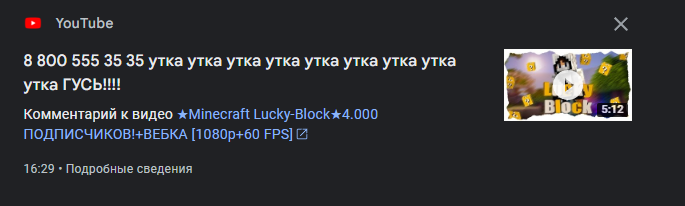 698648ebc73ab_1770408171 - изображение на LocalQQ