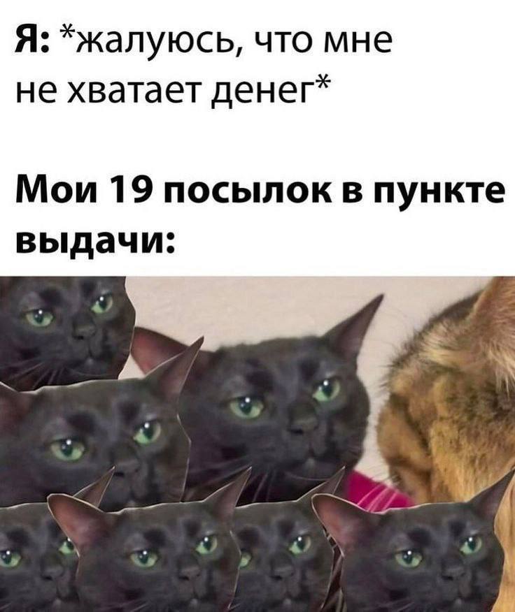 696c2ca2b2f01_1768696994 - изображение на LocalQQ