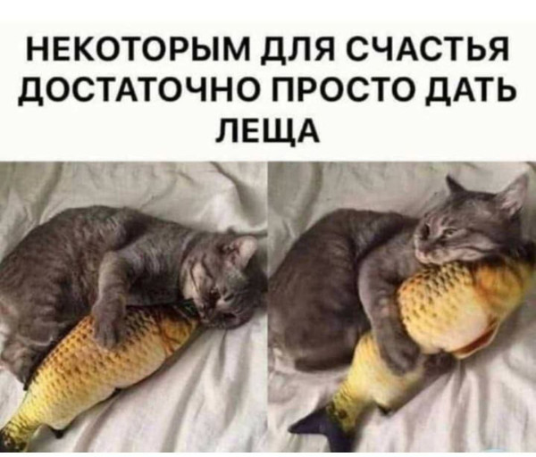 изображение_2026-07-05_222412865 - изображение на LocalQQ