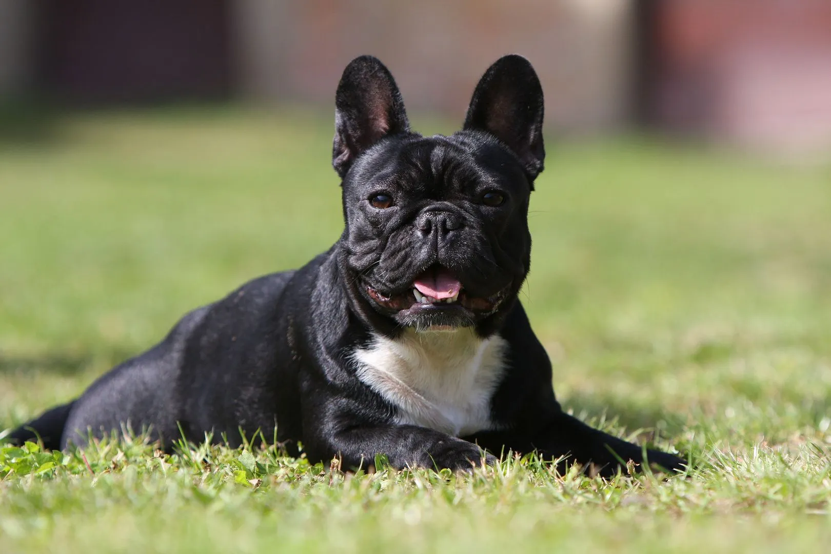 6983a698cf5b2_1770235544 - изображение на LocalQQ