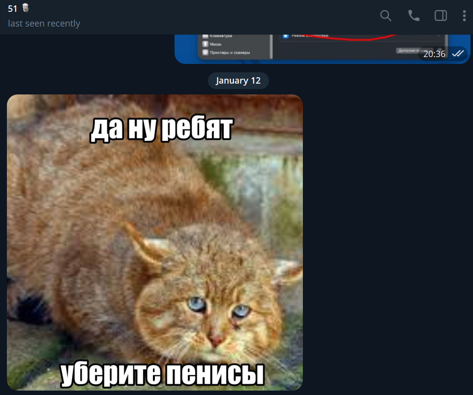 697293981681b_1769116568 - изображение на LocalQQ