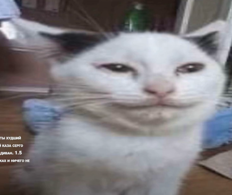 image - изображение на LocalQQ