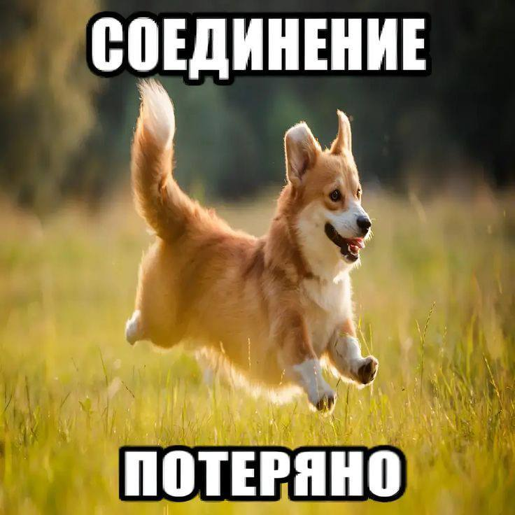 6986362d27153_1770403373 - изображение на LocalQQ