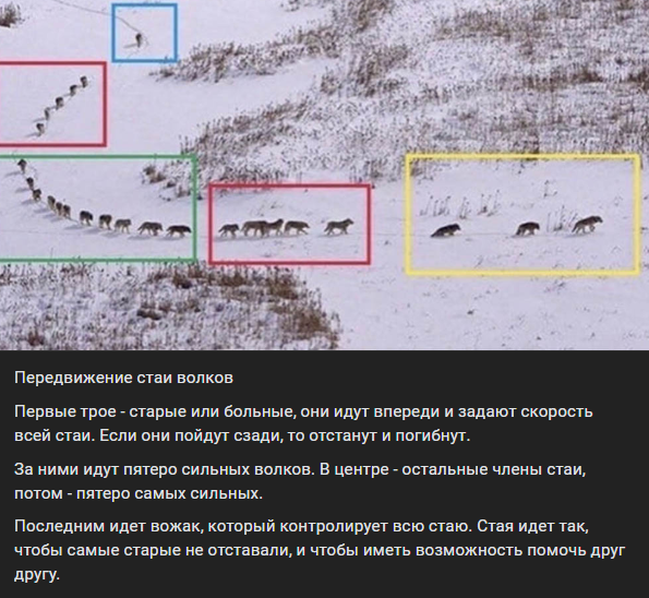 image - изображение на LocalQQ