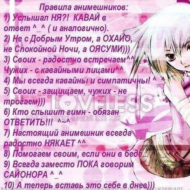 68fbbe80d06a2_1761328768 - изображение на LocalQQ