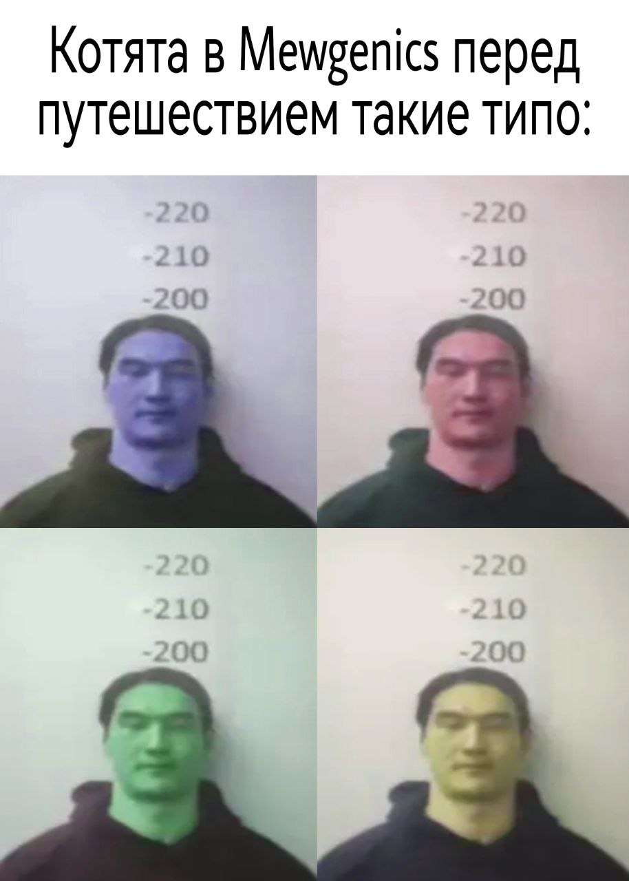 snaptik_7610812049035234568_0_v2 - изображение на LocalQQ