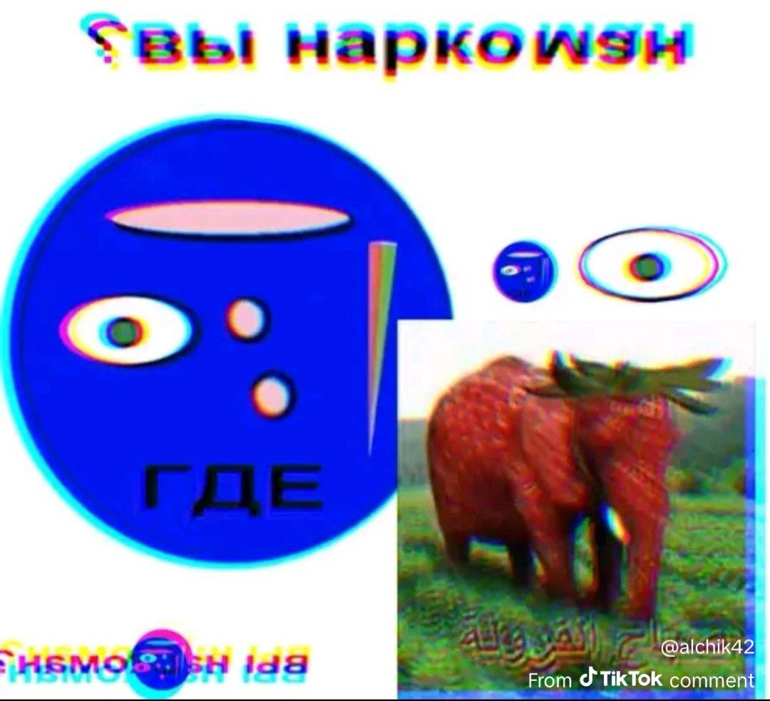 697299e13b572_1769118177 - изображение на LocalQQ