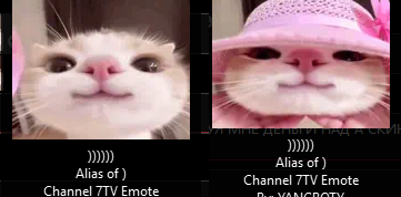 image - изображение на LocalQQ