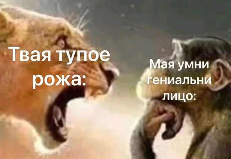 68f6d5aa92848_1761007018 - изображение на LocalQQ