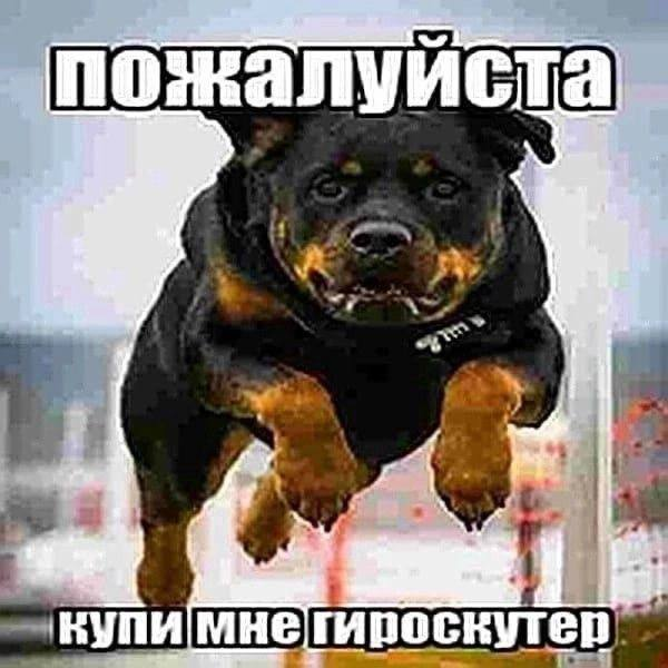 image - изображение на LocalQQ