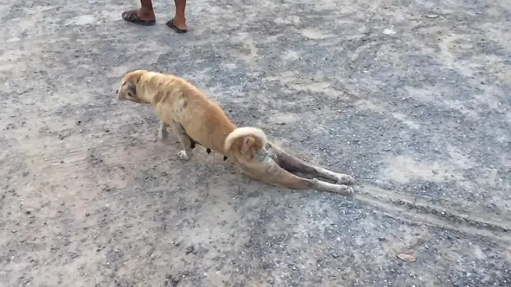 image - изображение на LocalQQ