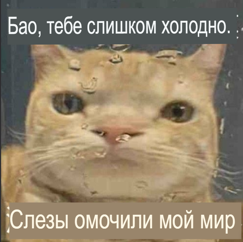 image - изображение на LocalQQ