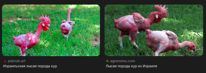 Снимок экрана 2026-09-05 192607 - изображение на LocalQQ