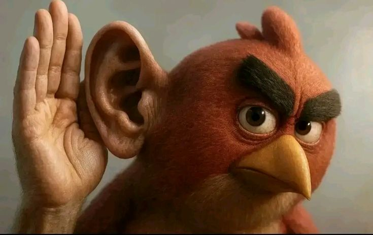 image - изображение на LocalQQ