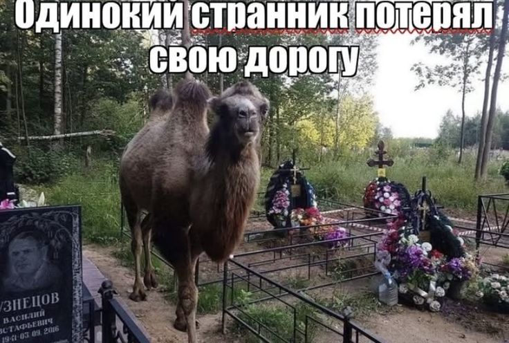 69714456f2a70_1769030742 - изображение на LocalQQ