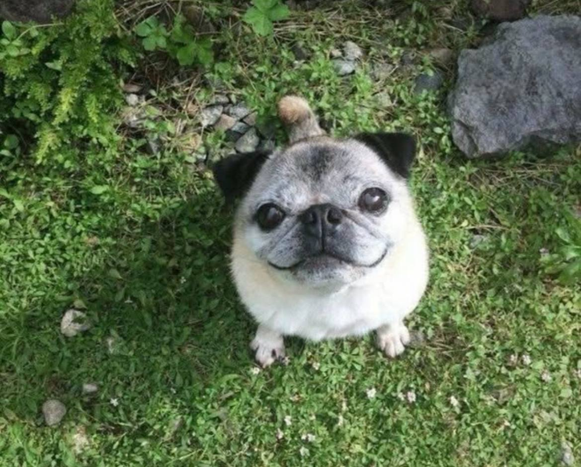 image - изображение на LocalQQ