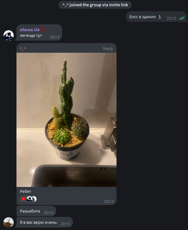 69582e570f042_1767386711 - изображение на LocalQQ