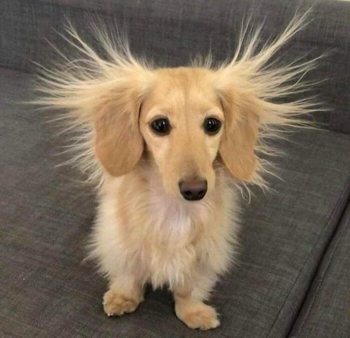 6951417d6b9fc_1766932861 - изображение на LocalQQ