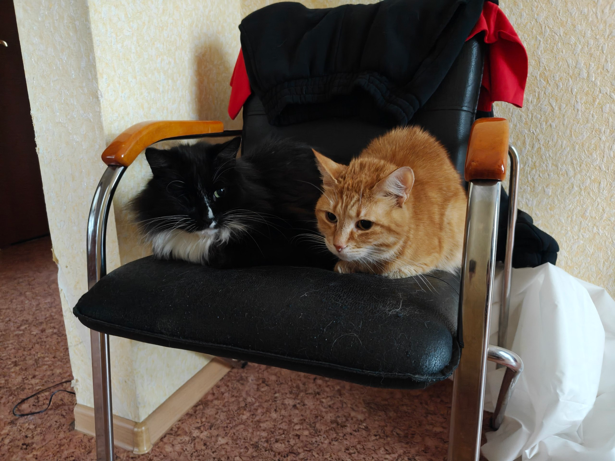 image - изображение на LocalQQ