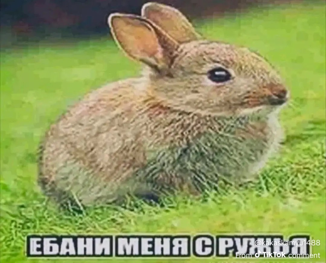 697e9d65da2d2_1769905509 - изображение на LocalQQ