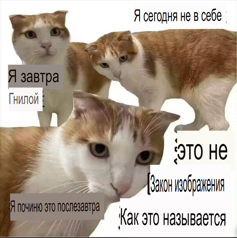 image - изображение на LocalQQ