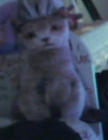 jwZEXe_1774542690 - изображение на LocalQQ