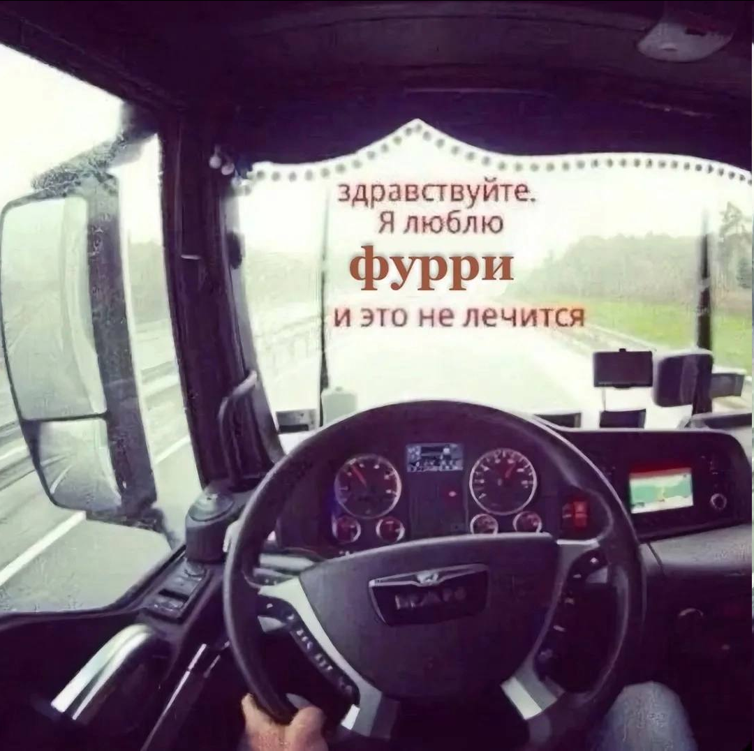 изображение - изображение на LocalQQ