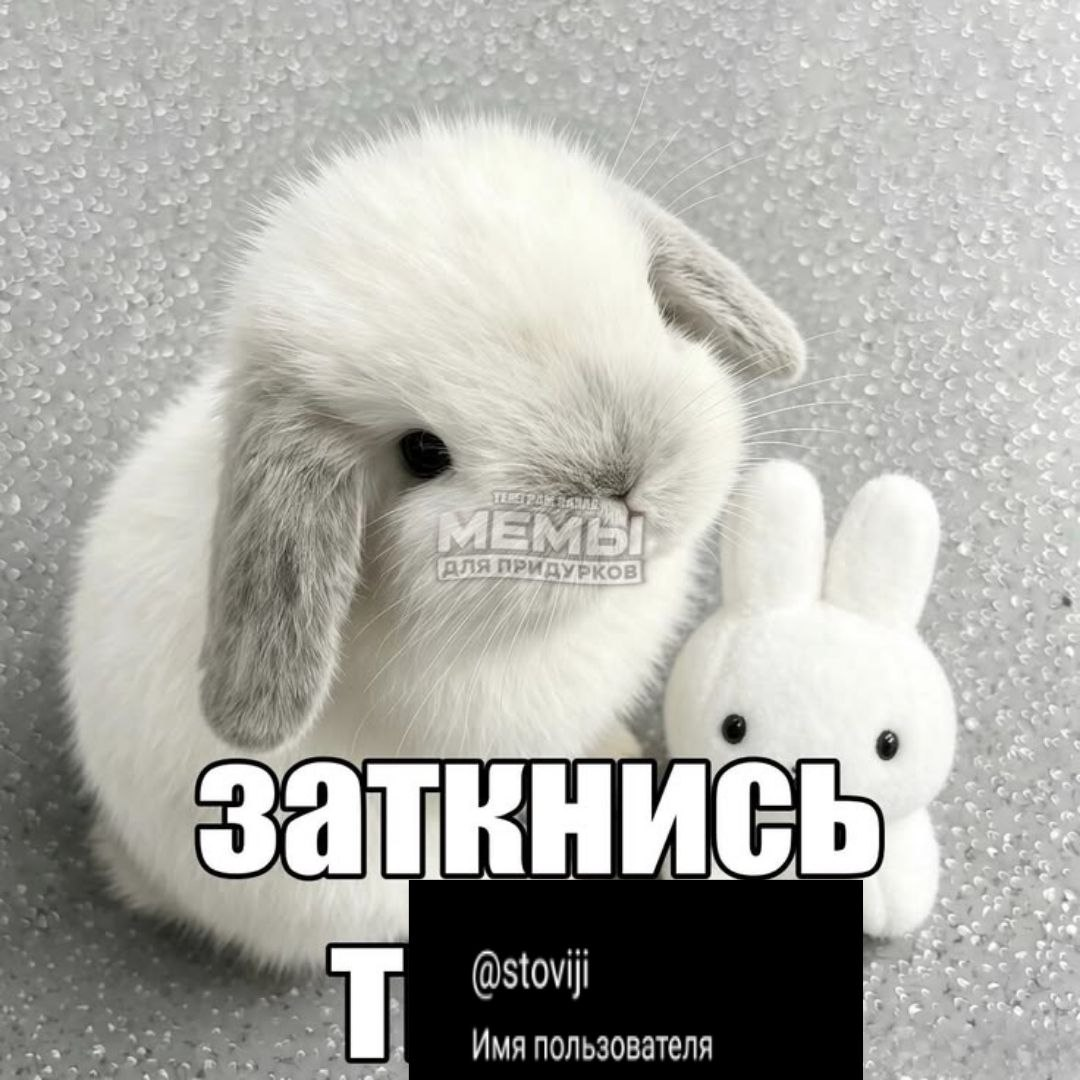 image - изображение на LocalQQ