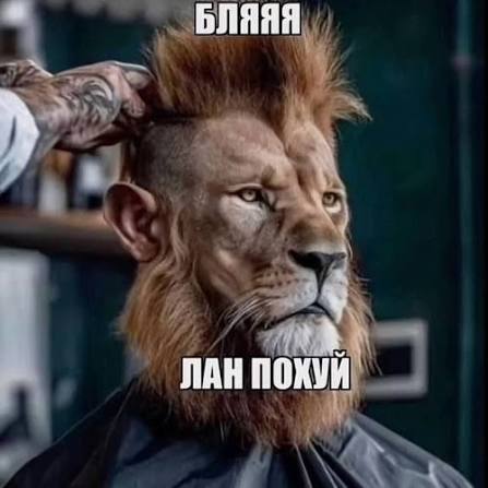 IMG_3407 - изображение на LocalQQ