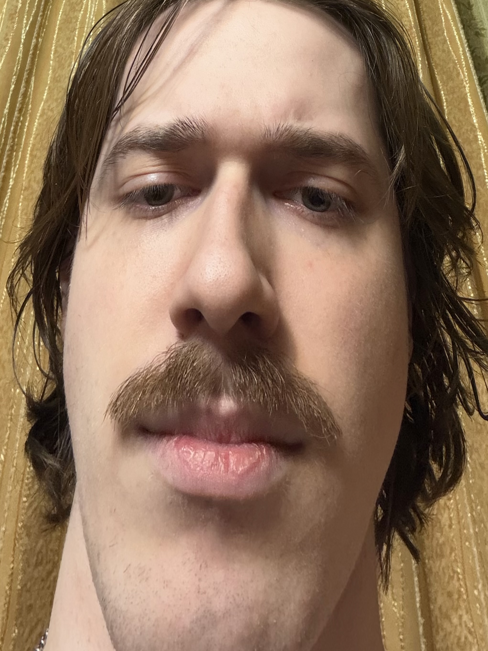 IMG_0009 - изображение на LocalQQ