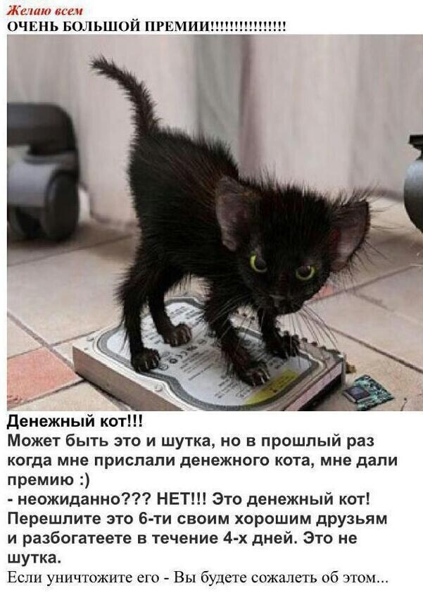 image - изображение на LocalQQ