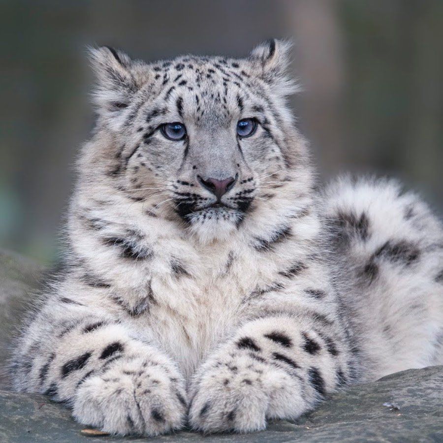 692220a511173_1763844261 - изображение на LocalQQ