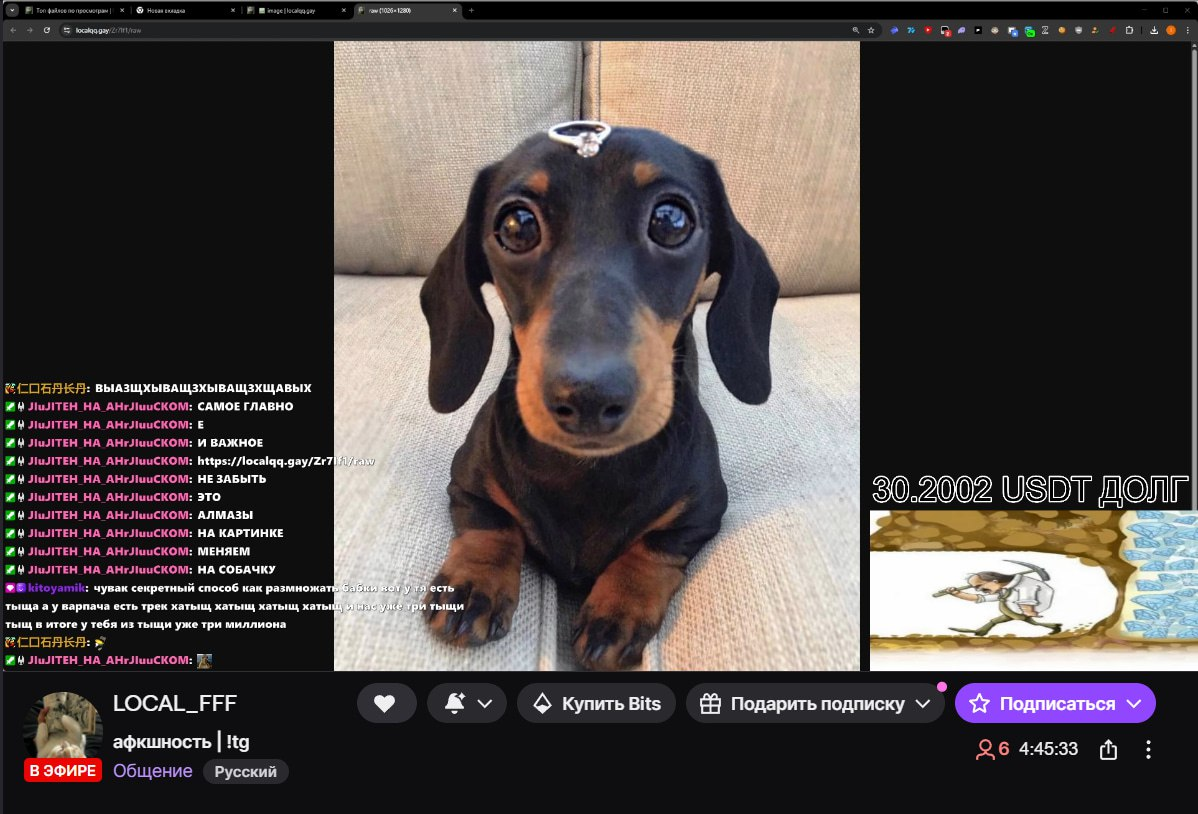 6983f9c2d3ac9_1770256834 - изображение на LocalQQ