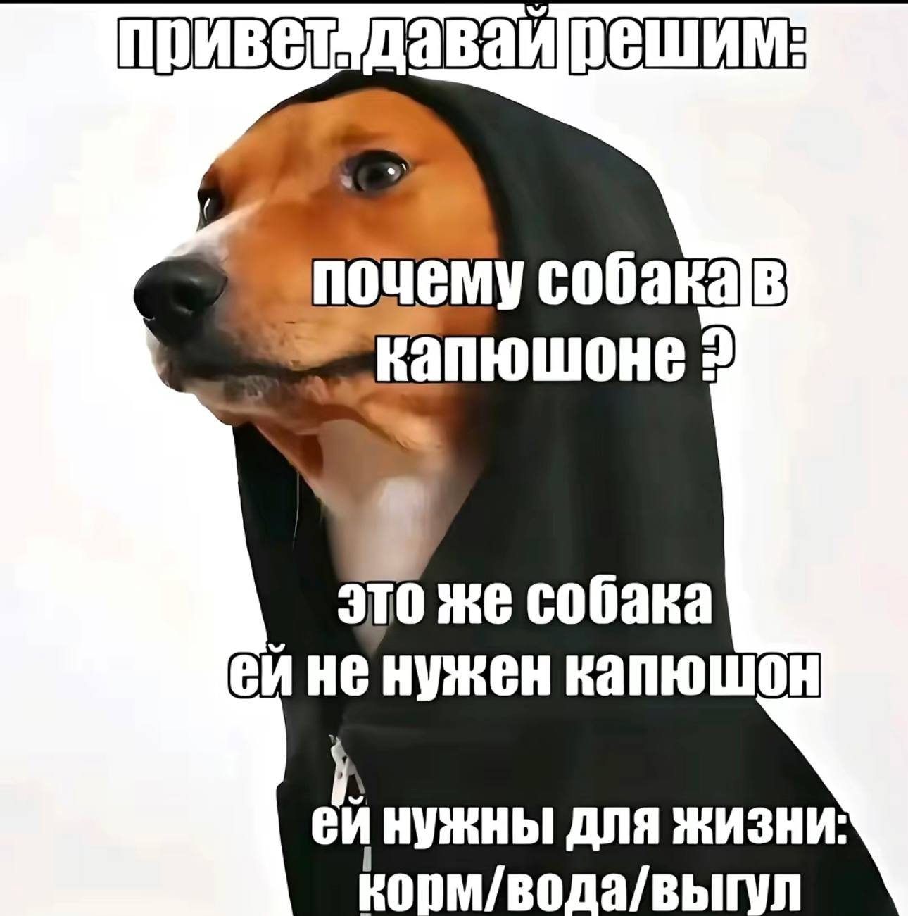 6949cb5917d67_1766443865 - изображение на LocalQQ