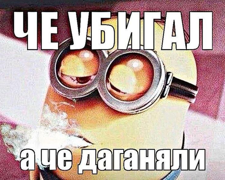 69122df28c207_1762799090 - изображение на LocalQQ