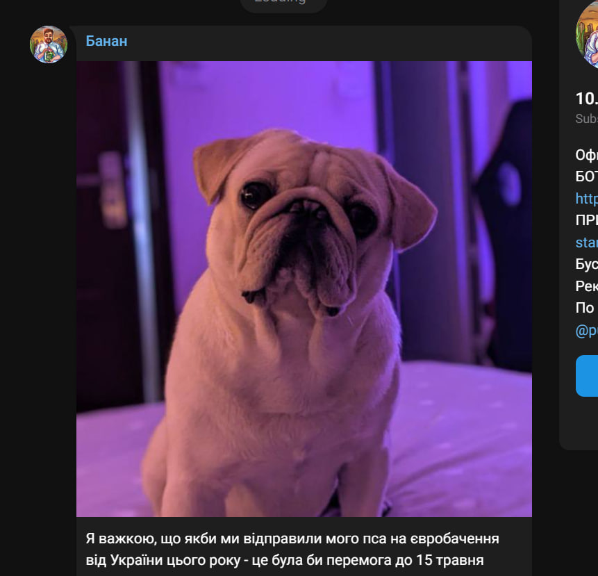 image - изображение на LocalQQ