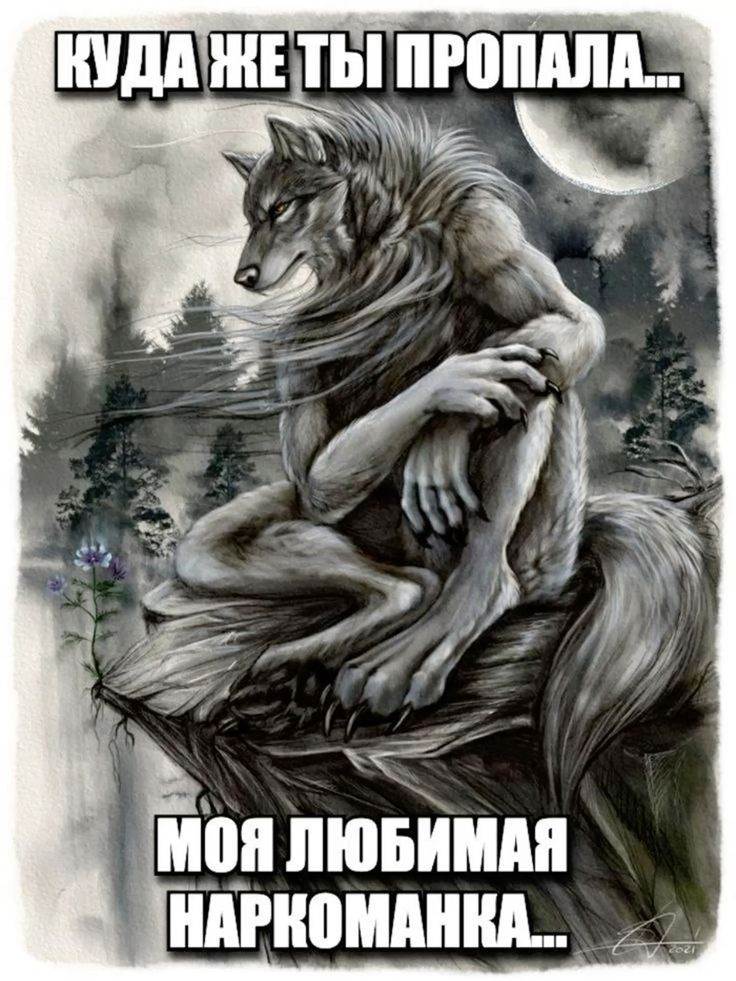 image - изображение на LocalQQ