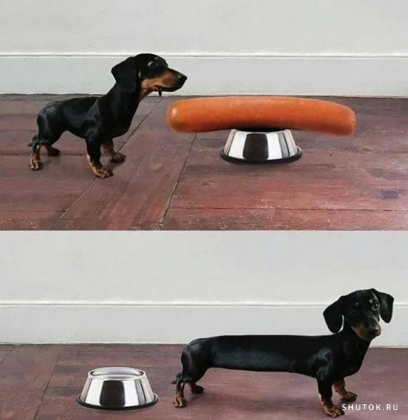 image - изображение на LocalQQ