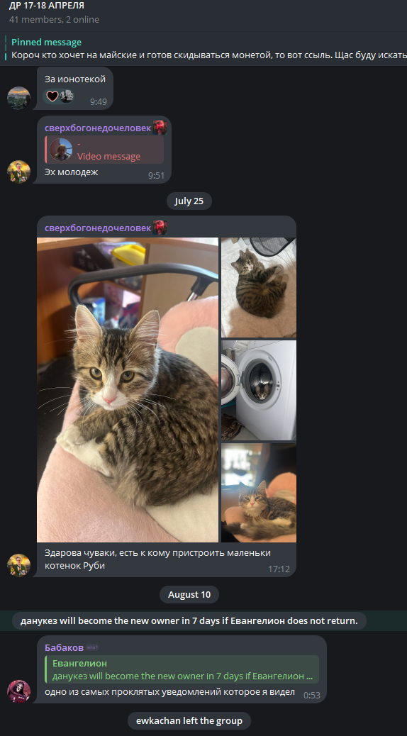 image - изображение на LocalQQ