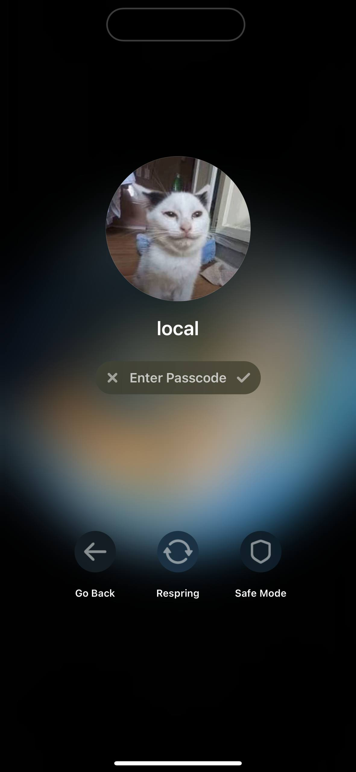 control_v - изображение на LocalQQ