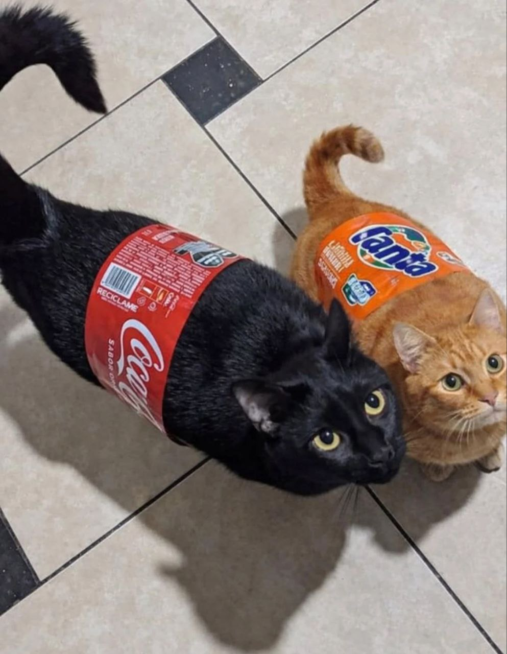 image - изображение на LocalQQ