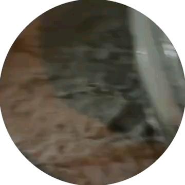 696c19f02fde9_1768692208 - изображение на LocalQQ