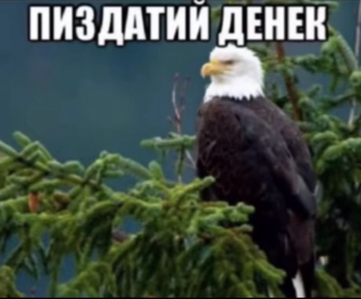 694f3428b8154_1766798376 - изображение на LocalQQ