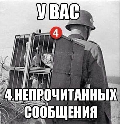 68fbb22320abb_1761325603 - изображение на LocalQQ