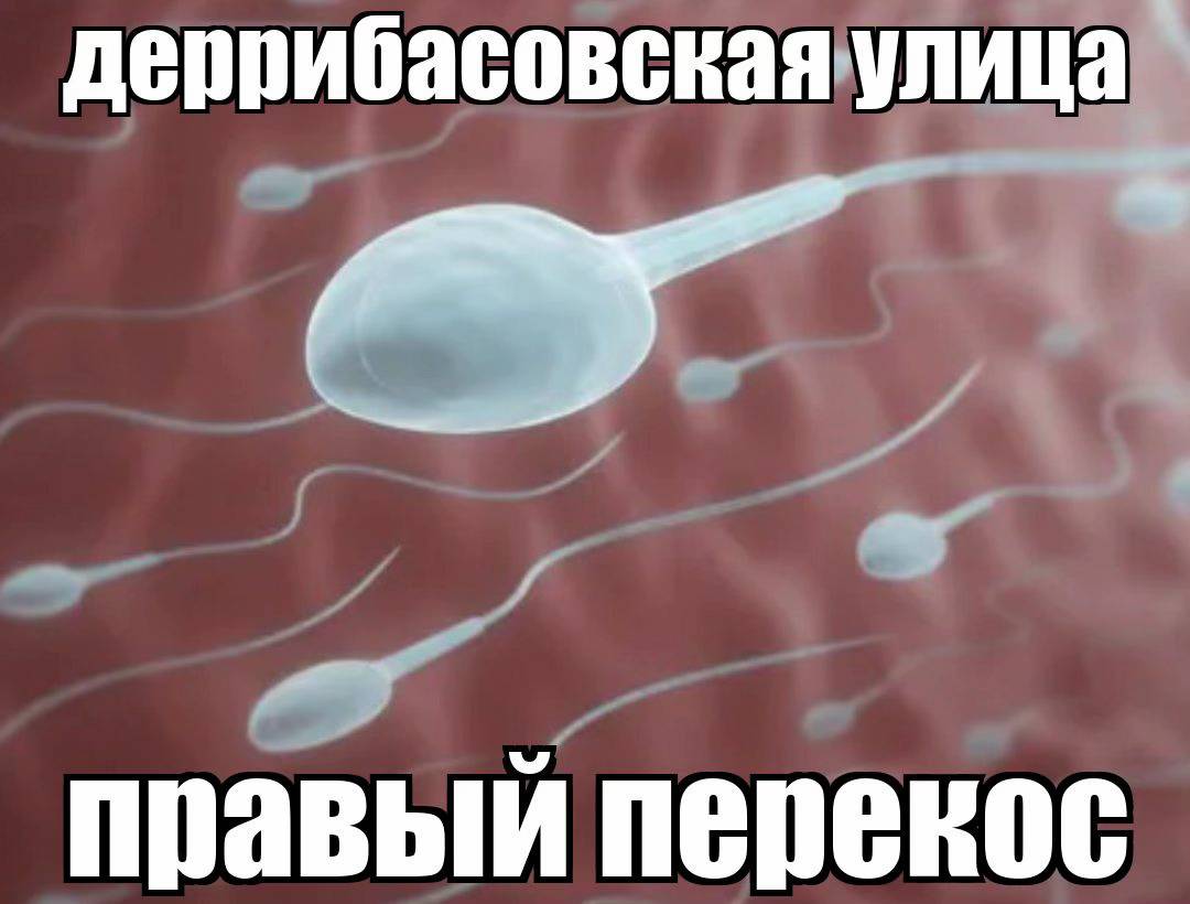 ssstik.io_1774387284479 - изображение на LocalQQ