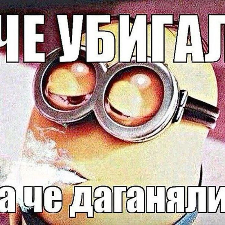 696444148d7bb_1768178708 - изображение на LocalQQ