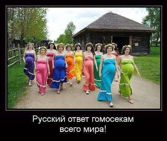 697141c400606_1769030084 - изображение на LocalQQ