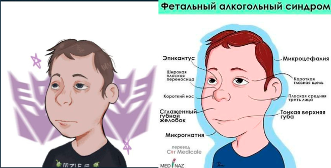 изображение_2026-08-12_225500098 - изображение на LocalQQ