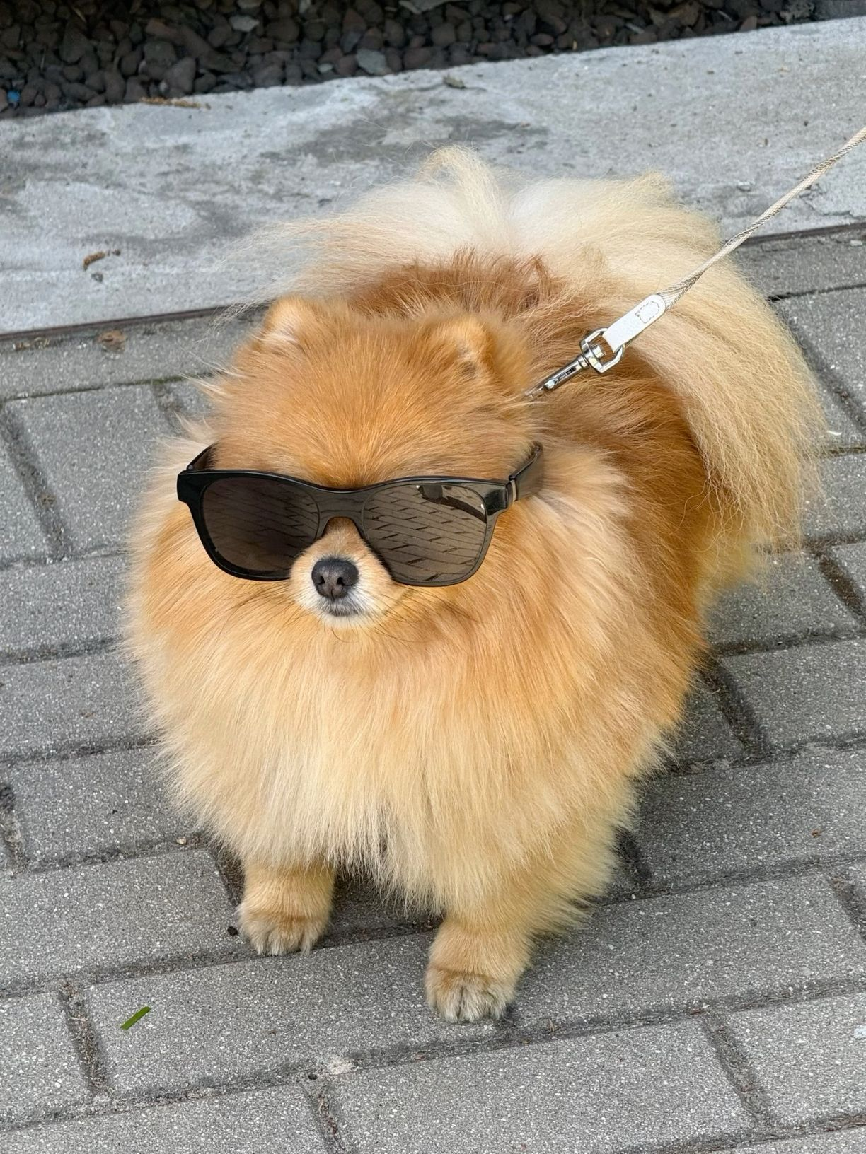 696416a1a51da_1768167073 - изображение на LocalQQ